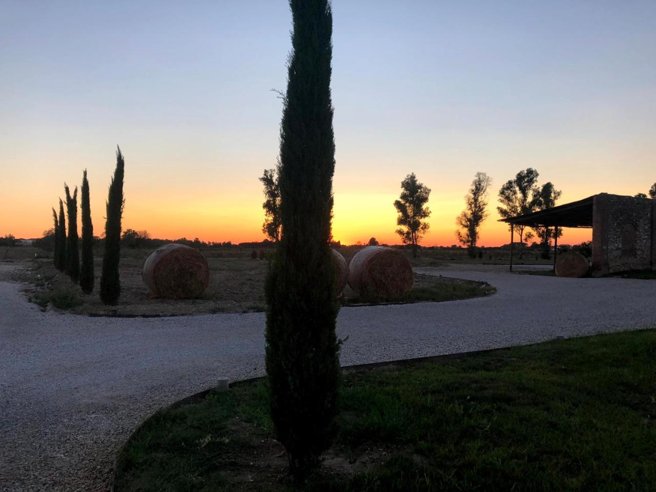 فيلا Fattoria L'Olmetto بيزا المظهر الخارجي الصورة