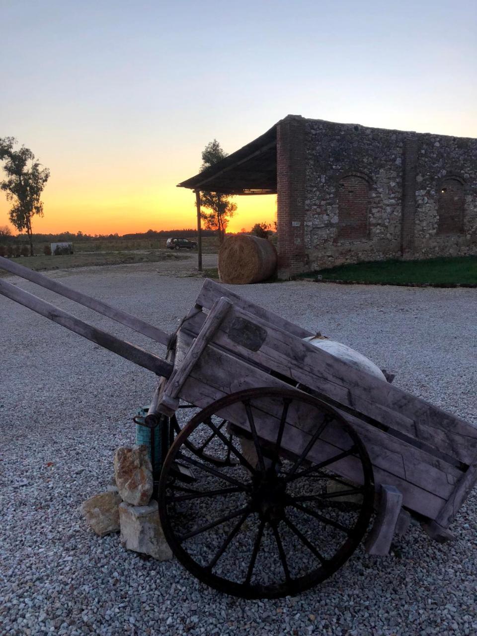 فيلا Fattoria L'Olmetto بيزا المظهر الخارجي الصورة