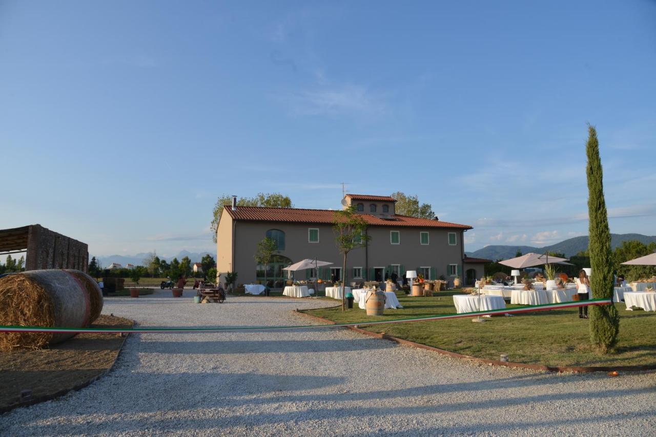 فيلا Fattoria L'Olmetto بيزا المظهر الخارجي الصورة